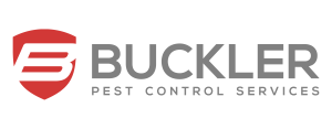 Buckler logo- EN